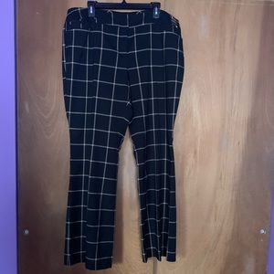 Brand New NY&Co 7th Avenue Bootcut Pants